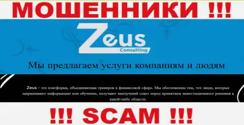 Направление деятельности интернет жуликов ЗеусКонсалтинг - это Консалтинг, но имейте ввиду это разводилово !!!