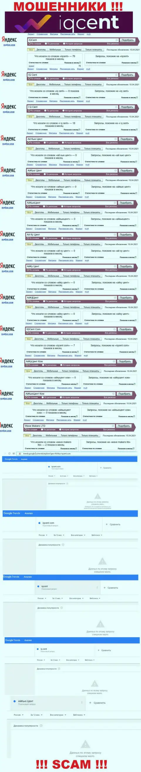 Статистические данные количества просмотров информации о мошенниках IQCent в интернете