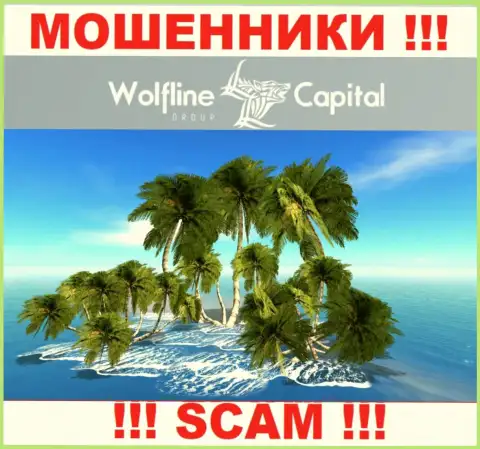 Жулики Wolfline Capital не представляют правдивую информацию относительно своей юрисдикции