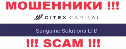 Юридическое лицо Sanguine Solutions LTD - это Сангин Солютионс ЛТД, именно такую информацию предоставили мошенники на своем сайте