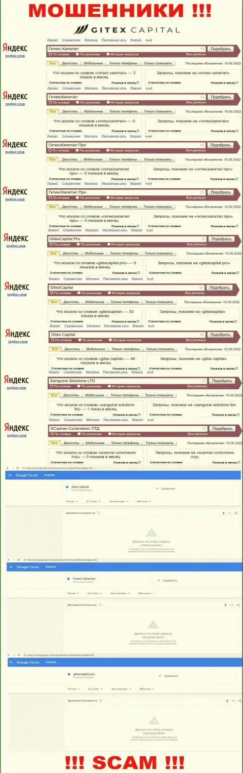 Статистика брендовых запросов по преступно действующей организации Гитекс Капитал