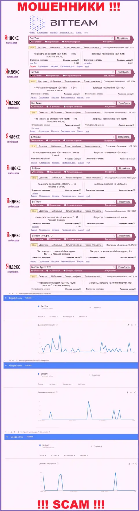 Статистика online запросов по бренду Bit Team в интернете