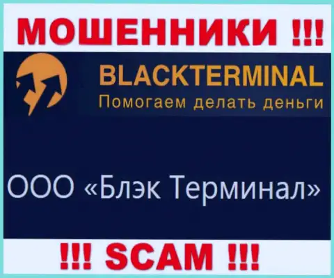 На официальном интернет-ресурсе BlackTerminal указано, что юр. лицо компании - ООО Блэк Терминал