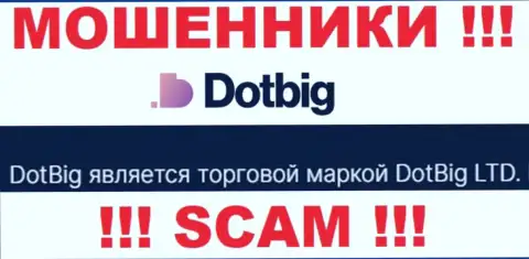 Dot Big - юридическое лицо интернет-мошенников компания DotBig LTD