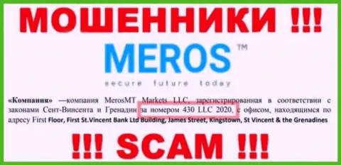Регистрационный номер Meros TM может быть и фейковый - 430 LLC 2020