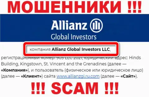Компания Allianz Global Investors находится под крышей организации Allianz Global Investors LLC