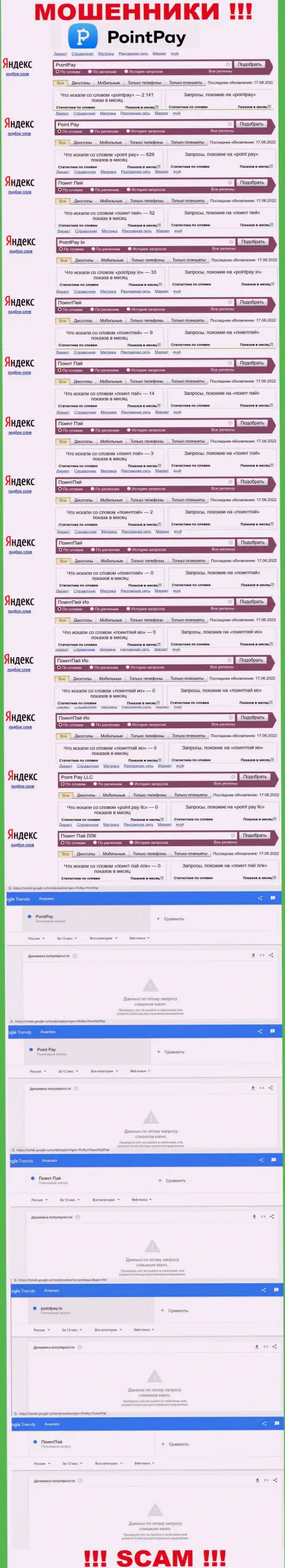 Показатели запросов по махинаторам Поинт Пей во всемирной интернет сети