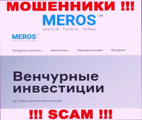 Инвестиции - это область деятельности, в которой промышляют Meros TM