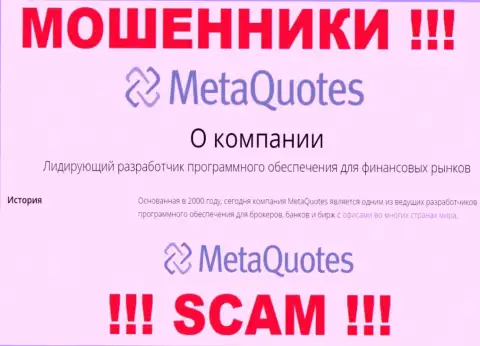 Разработка программного обеспечения - именно в данном направлении предоставляют свои услуги мошенники MetaQuotes Ltd