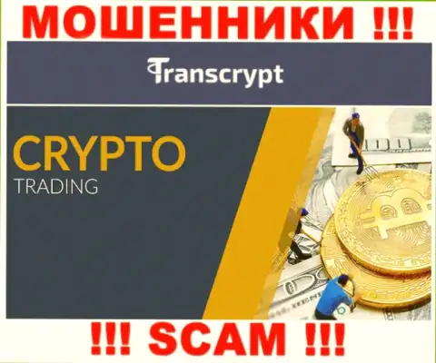 TransCrypt Eu - это аферисты ! Область деятельности которых - Криптотрейдинг