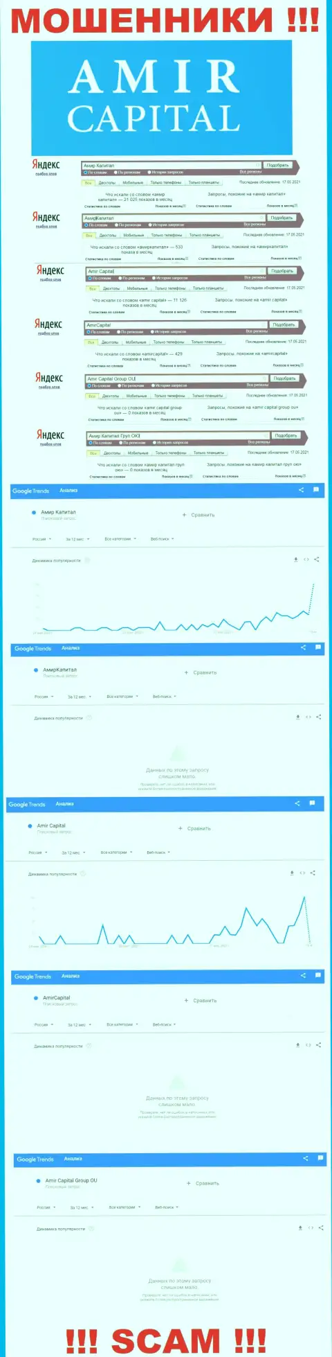 Amir Capital - это МОШЕННИКИ, сколько раз искали в поисковиках всемирной сети internet указанную шарашку