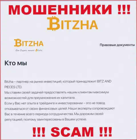 Bitzha 24 это настоящие интернет-кидалы, вид деятельности которых - Investing