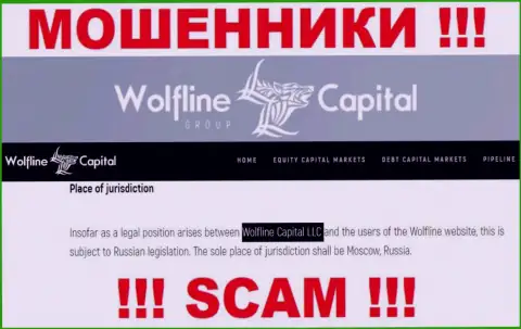 Юр лицо компании Wolfline Capital - это ООО Волфлайн Кэпитал