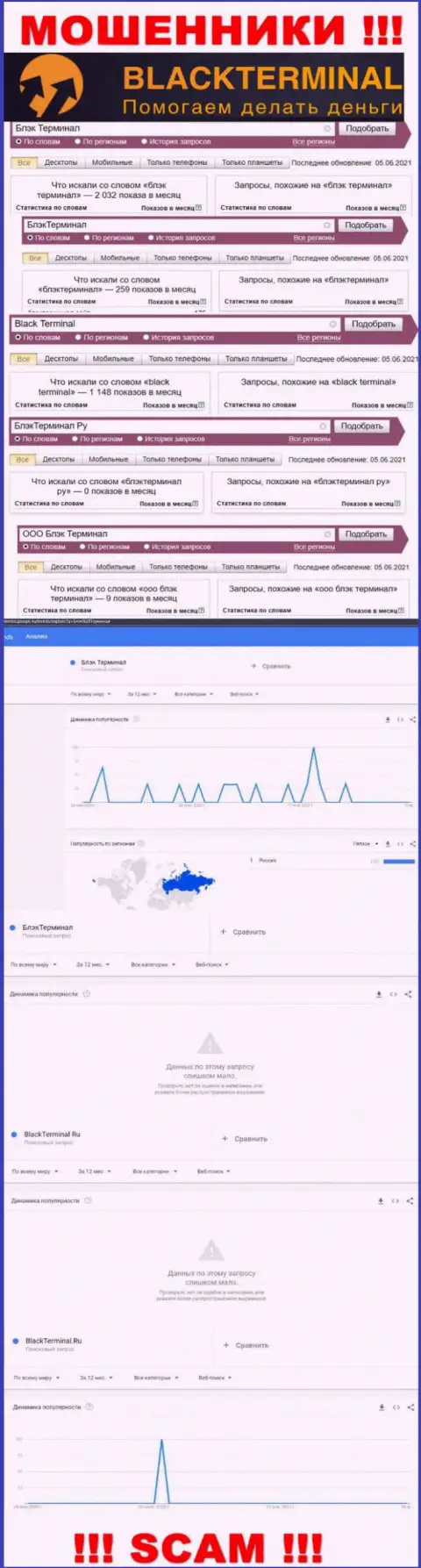 Количество online запросов сведений об мошенниках Black Terminal в internet сети