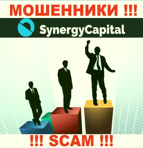 Synergy Capital предпочли оставаться в тени, сведений о их руководителях вы не найдете