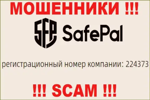 Регистрационный номер организации SafePal - 224373