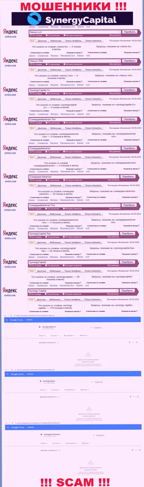 Статистические данные поисковых запросов по бренду SynergyCapital Top в глобальной интернет сети