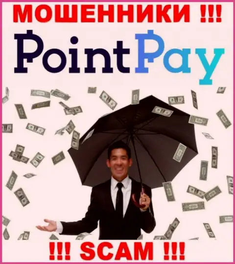 Не угодите в загребущие лапы internet-мошенников Point Pay LLC, финансовые вложения не вернете