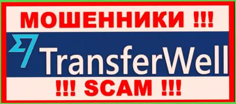 TransferWell - это ШУЛЕРА !!! Денежные средства назад не возвращают !!!