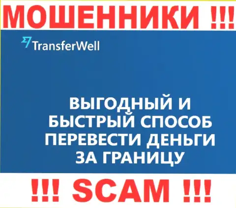 Не верьте, что работа TransferWell Net в области Платежная система законная
