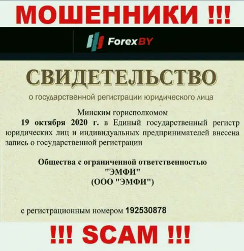 Регистрационный номер неправомерно действующей организации Forex BY - 192530878