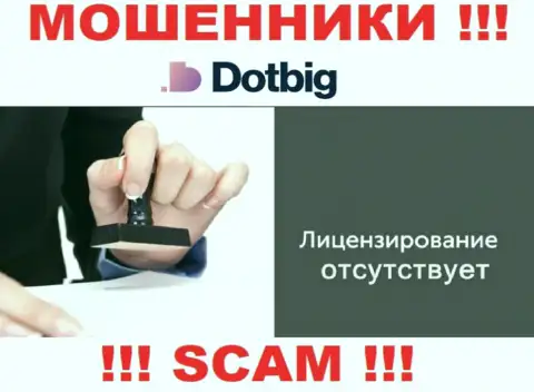 Данных о лицензии на осуществление деятельности конторы DotBig Com на ее официальном сайте НЕ ПРИВЕДЕНО