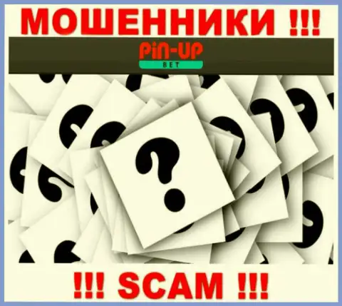 На онлайн-сервисе Pin-Up Bet не представлены их руководители - мошенники безнаказанно прикарманивают денежные активы