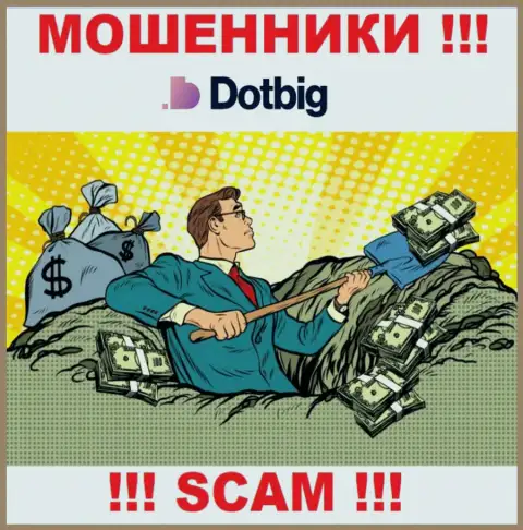 DotBig Com работает только лишь на ввод средств, в связи с чем не стоит вестись на дополнительные вклады