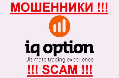 Ай Кью Опцион - это МОШЕННИКИ !!! SCAM !!!