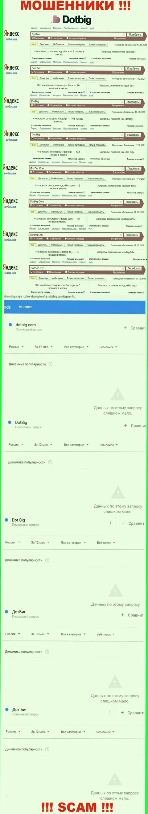 Данные статистики о брендовых онлайн-запросах касательно internet мошенников Dot Big