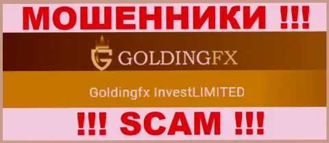 ГолдингФХИкс Инвест Лтд владеющее организацией Golding FX