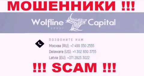 Будьте очень осторожны, вдруг если трезвонят с неизвестных номеров телефона, это могут оказаться интернет-кидалы Wolfline Capital