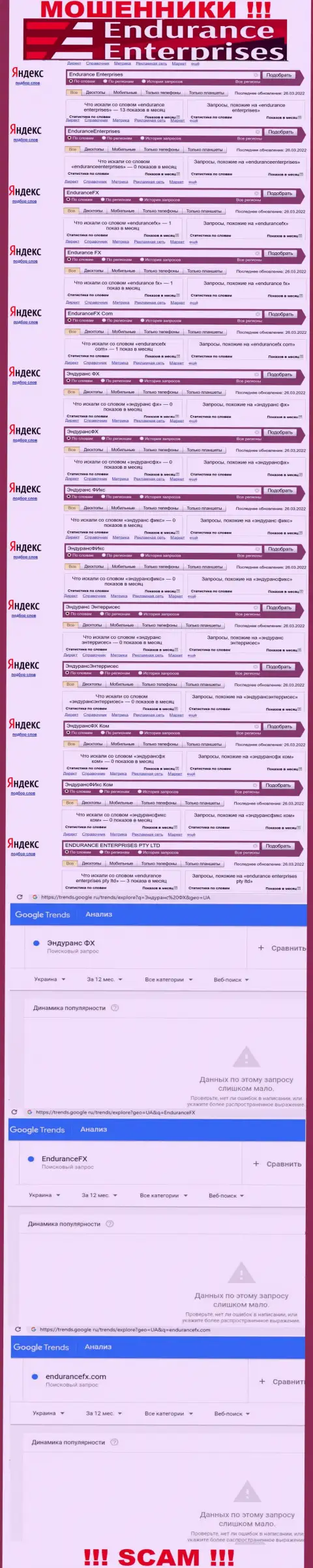 Статистика по онлайн запросам в сети Интернет информации об аферистах ЭндурансФХ