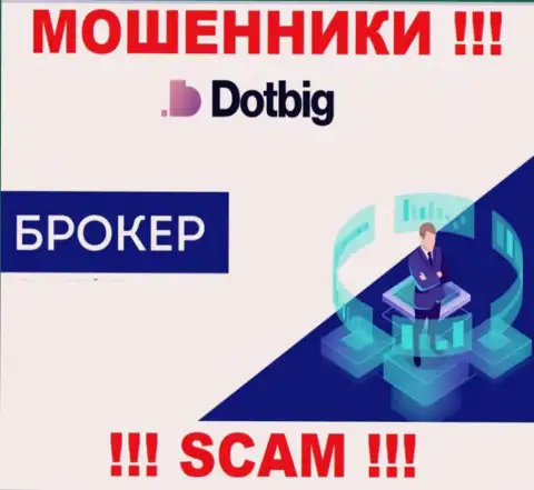 Dot Big - это МОШЕННИКИ, род деятельности которых - Брокер