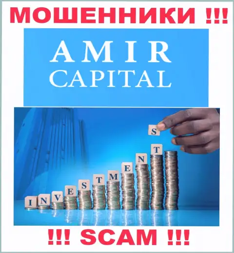 Не отдавайте кровно нажитые в Amir Capital Group OU, направление деятельности которых - Инвестиции