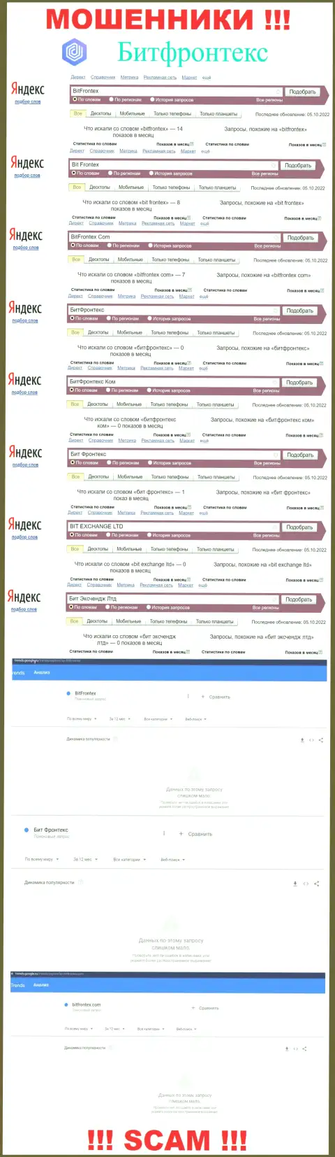 Количество запросов по интернет-мошенникам BitFrontex