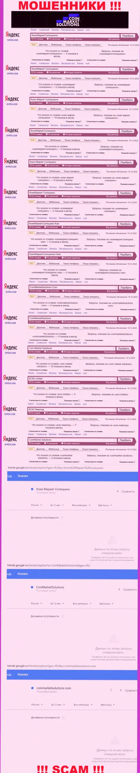 Суммарное число поисковых запросов в глобальной internet сети по бренду воров КоинМаркетСолюшинс Ком